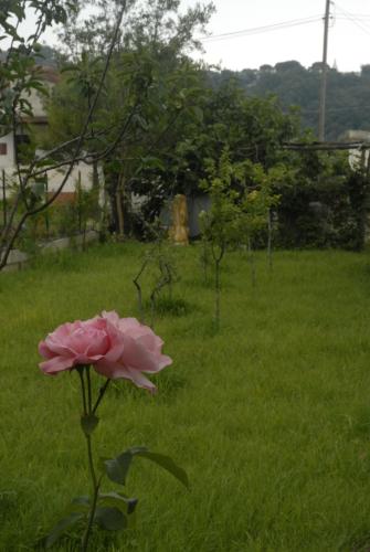 Gallery image of Casa Vacanze Marcella in Palinuro