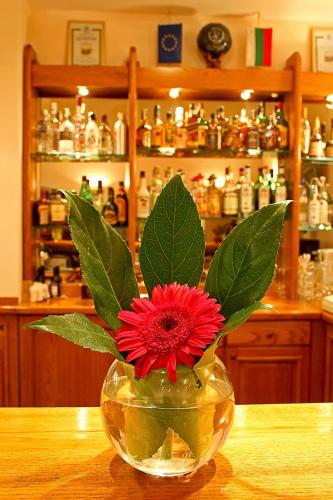 a red flower in a glass vase on a table at Geneva Hotel in Sofia