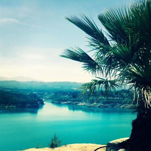 a view of a river with palm trees in the foreground at Cortijo Paraiso in Cúllar de Baza