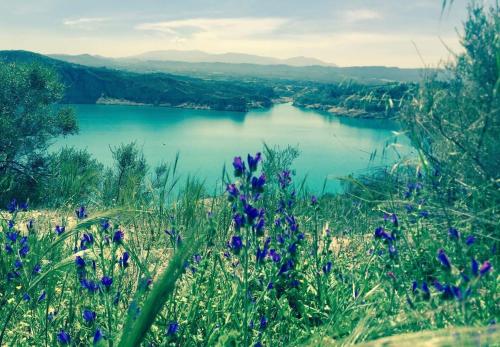 a view of a lake with flowers in the foreground at Cortijo Paraiso in Cúllar de Baza