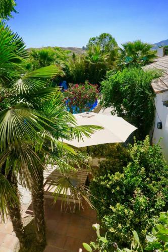 a garden with a palm tree and a white umbrella at Cortijo Paraiso in Cúllar de Baza