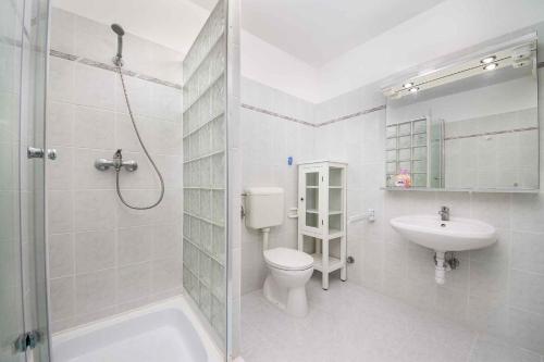La salle de bains est pourvue de toilettes, d'un lavabo et d'une douche. dans l'établissement Studio in Balatonmariafürdo 19236, à Balatonmáriafürdő