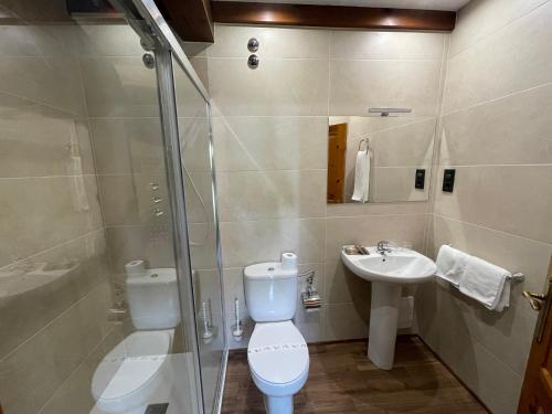 La salle de bains est pourvue de toilettes, d'un lavabo et d'une douche. dans l'établissement La Era, à Lario