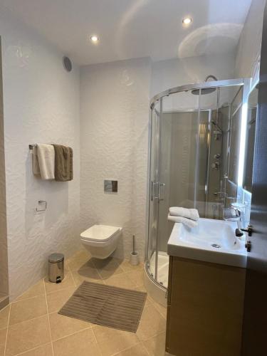 a bathroom with a shower and a toilet and a sink at Nant d Ant in Samoëns