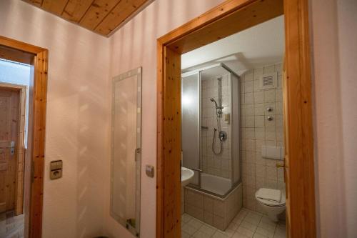 a bathroom with a shower and a toilet and a sink at Berghotel und Restaurant Kräuter Chalet in Furtwangen