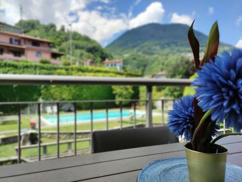 Residence Oleandri – Photos 2