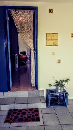 an open door of a house with a plant in theoyer at Caseta de pescadors a les cales de Colera, 2ª linea de mar in Colera