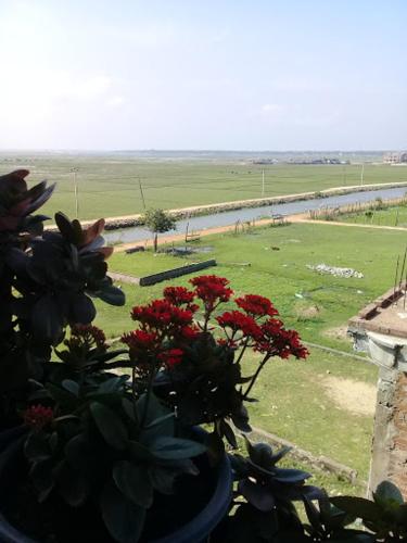 a plant in a window with a view of a field at Villa Luxez in Kalmunaikudiyiruppu