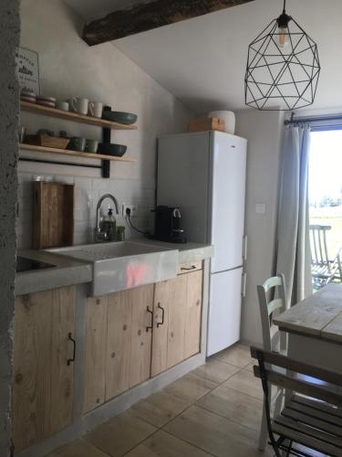 une cuisine avec un évier et un réfrigérateur dans l'établissement Gîte Au petit bonheur, à Châteldon