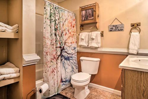 a bathroom with a toilet and a shower curtain at Hiawassee Cabin with Mtn Views Less Than 1 Mi to Lake! in Hiawassee