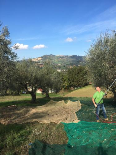 a man is swinging a kite in a field at B&B La Casa di Giuliana in Cermignano