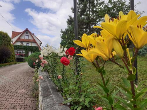 a garden with yellow flowers in front of a house at Dom Sosenek in Kluszkowce