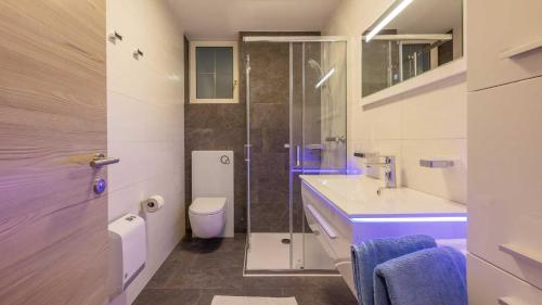 a bathroom with a shower and a toilet and a sink at Haus Auer Theresia in Telfes im Stubai