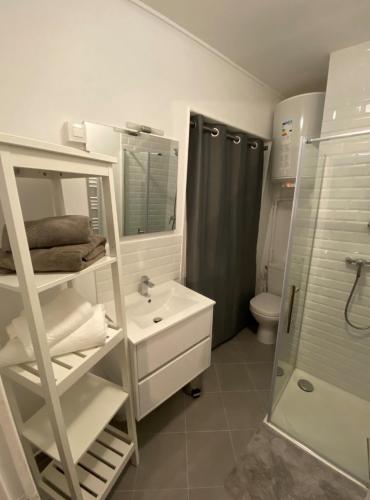 uma casa de banho com um lavatório, um chuveiro e um WC. em ENGHIEN-LES-BAINS: studio au cœur du centre ville. em Enghien-les-Bains