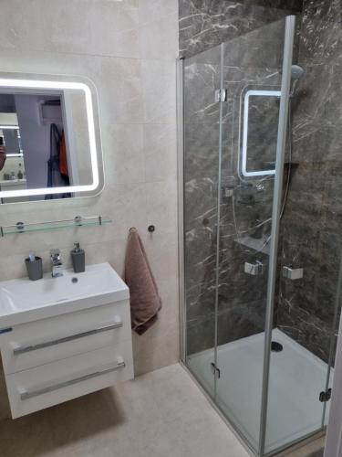 a bathroom with a glass shower and a sink at VIP apartmán in Rajecké Teplice
