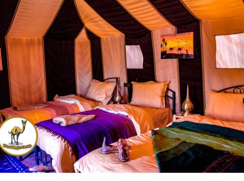 a room with three beds with a dog laying on them at Your magic camp in Merzouga
