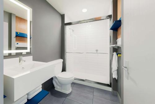 een badkamer met een wastafel, een toilet en een douche bij Microtel Inn & Suites by Wyndham Winchester in Winchester