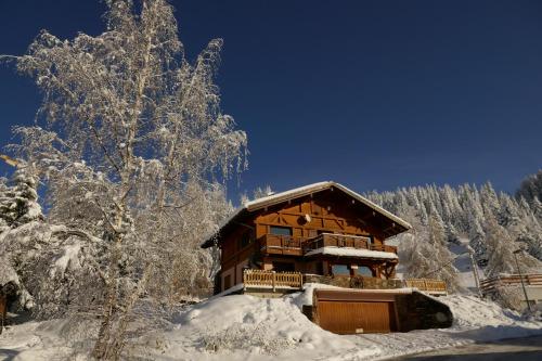 Το Les Saisies côté Bisanne appartement dans chalet LE Népal τον χειμώνα
