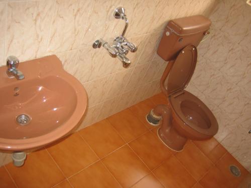 a bathroom with a toilet and a sink at Hotel Ferreira Resort in Lonavala