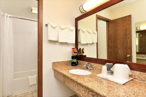 ein Bad mit einem Waschbecken und einem Spiegel in der Unterkunft Corn Palace Inn in Mitchell
