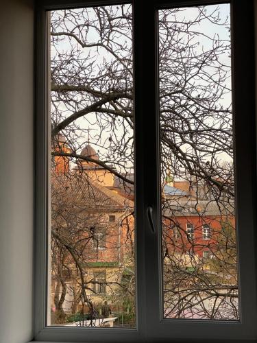 una ventana con vistas a un árbol en Sobornosti Apartment Poltava City, en Poltava