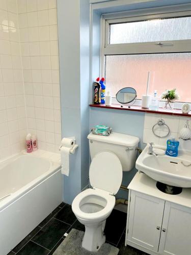 a bathroom with a white toilet and a sink at Two Bedroom Apartment, 10 Mins From Bexhill Seafront, Social Club On Site in Bexhill