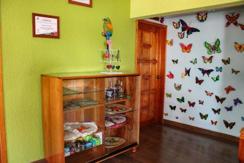 a room with green walls with butterflies on the wall at Hospedaje Ensueño in Zacatlán