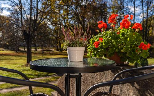 a table with a vase on top of it with flowers at Pālena apartamenti in Tērvete