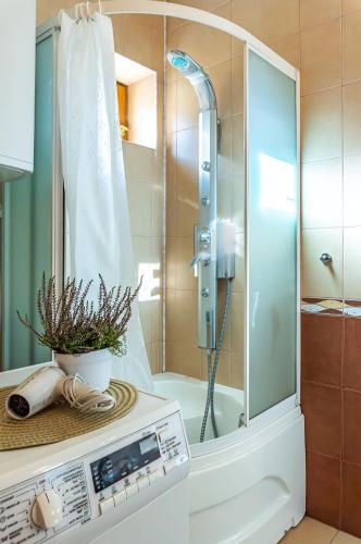 a shower with a glass door in a bathroom at Pālena apartamenti in Tērvete