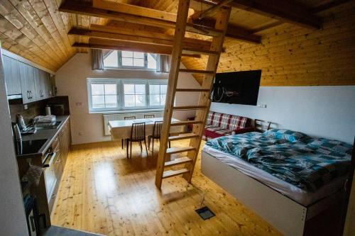 a bedroom with a bunk bed and a kitchen at Statek U Kalinů in Nové Město na Moravě