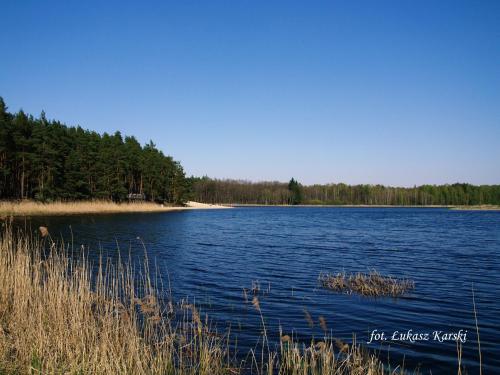 a large body of water with trees in the background at DOMKI , Pokoje gościnne Ustronie in Zwierzyniec