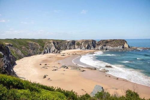a beach with a bunch of animals on the sand at Heu’s Monte in Odemira