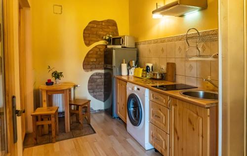 a kitchen with a sink and a washer and dryer at Pālena apartamenti in Tērvete