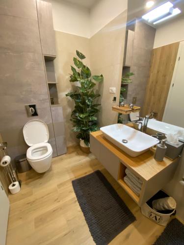 W łazience znajduje się umywalka, toaleta i lustro. w obiekcie Art'penthouse w Braszowie