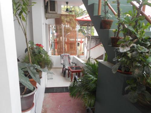 a balcony with a bunch of plants and chairs at Heavenly Homestay in Cochin