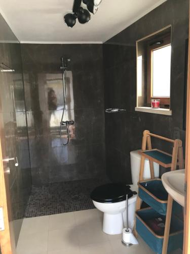 ein Bad mit einer Dusche, einem WC und einem Waschbecken in der Unterkunft Moradia rural de charme agradável e acolhedora in Arrimal