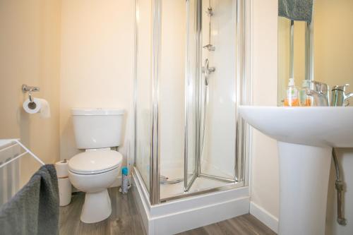 a bathroom with a toilet and a shower and a sink at The Starry Rock in Kirriemuir