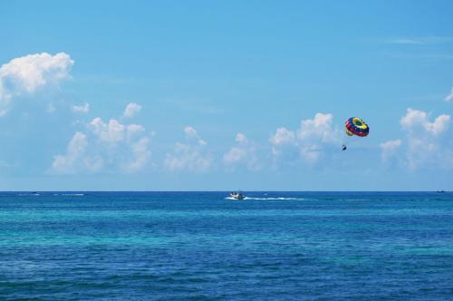a kite flying in the sky over the ocean at Aqua Vista in San Pedro