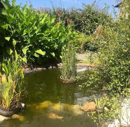 Maisonnette climatisé, plage à 5mn, pour 2 personnes