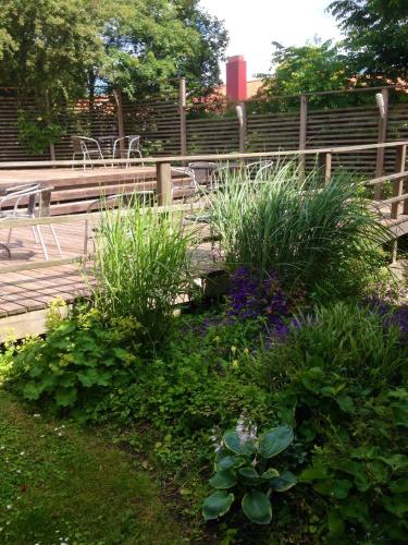 a garden with purple flowers in front of a bench at Aurora Bed & Breakfast in Simrishamn