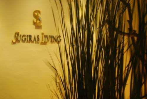 a close up of a plant in front of a wall at Sugiras Living in Denpasar