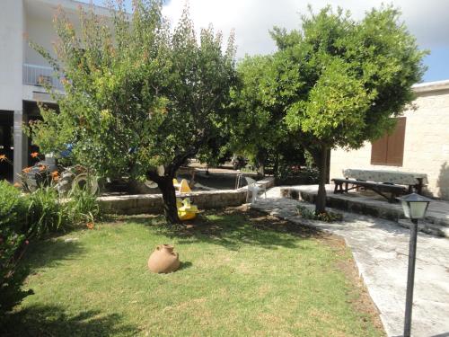 Ein Garten an der Unterkunft Spanos House