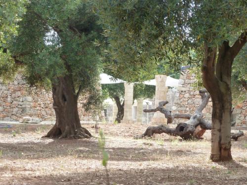 a group of trees in front of a stone wall at Tenuta Serre in Salve