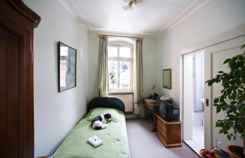 un perro tirado en un sofá en una habitación en Hotel Goldener Hecht en Heidelberg