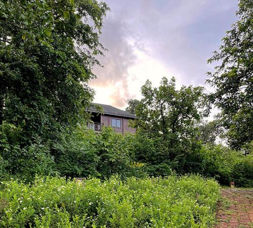 una casa oscurecida por árboles y arbustos en un patio en The Postcard Hideaway, Netravali Wildlife Sanctuary, Goa en Vichondrem