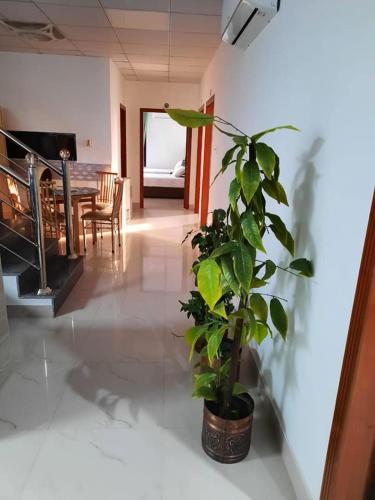 a living room with a potted plant and a dining room at Sultan Executive Hotel in Dargai