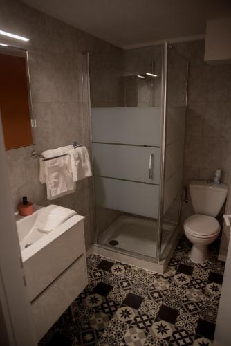une salle de bain avec une douche, des toilettes et un lavabo dans l'établissement Calme et cosy, à Obernai