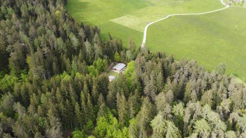 a house in the middle of a forest of trees at Chalet-karwendel in Terfens