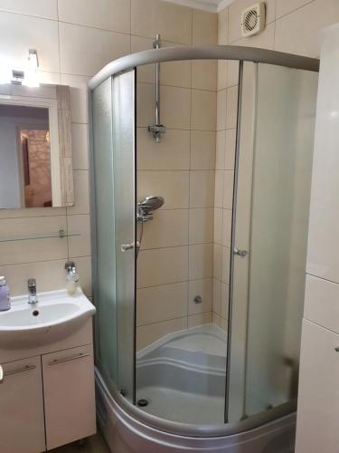 a shower with a glass door in a bathroom at Apartman Noa in Knin