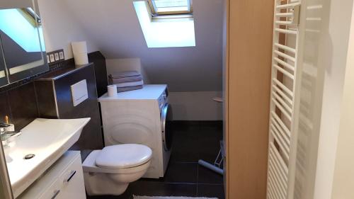 a bathroom with a white toilet and a sink at Joanna Apartment - MA Rheinau 5 in Mannheim